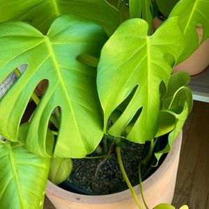 Major Price drop on all listings!! ♥️